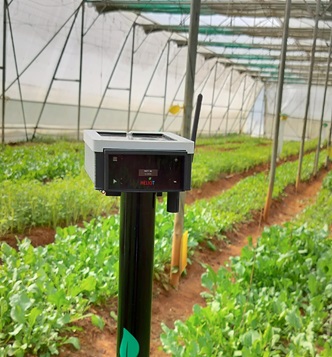 Device Image